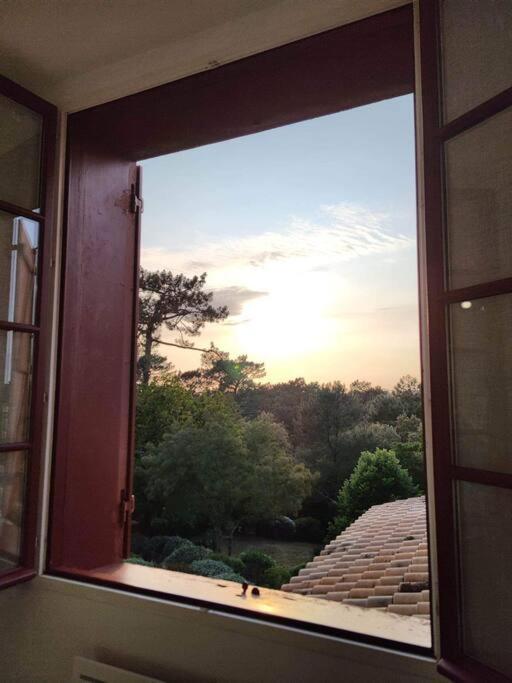 Arcachon Appartement 4 Personnes - Residence Beausejour מראה חיצוני תמונה